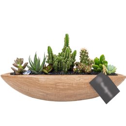 Imagem de Canoa Aço Corten Cactos e Suculentas