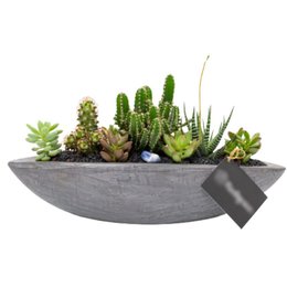 Imagem de Canoa Grafite Cactos e Suculentas