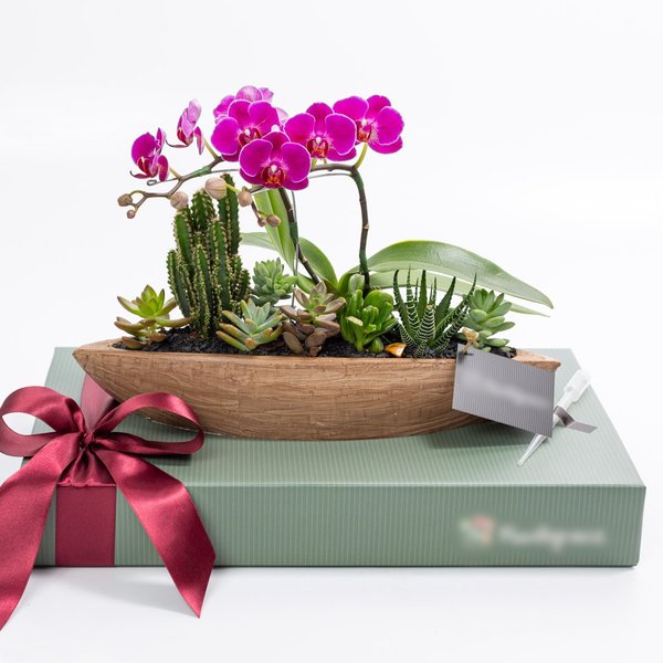 Canoa Aço Corten Mini Orquídea, Cactos e Suculentas