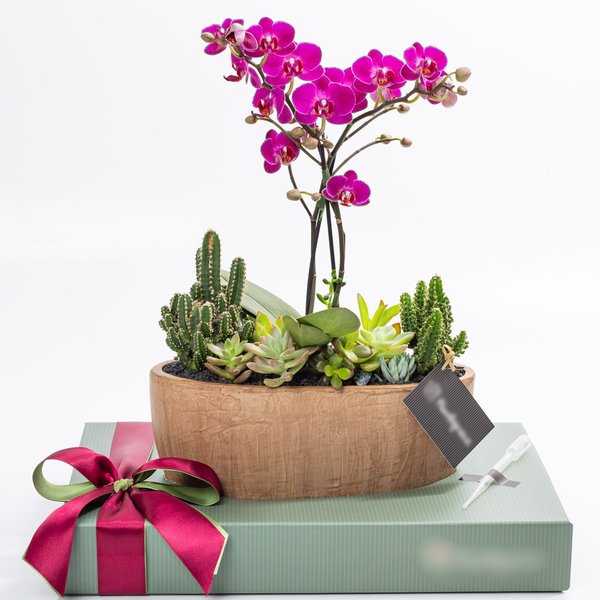 Cachepot Aço Corten MIni Orquídea, Cactos e Suculentas