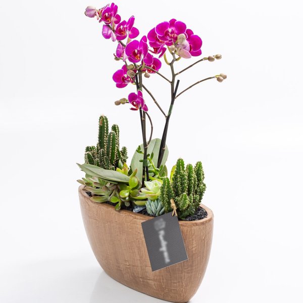 Cachepot Aço Corten MIni Orquídea, Cactos e Suculentas