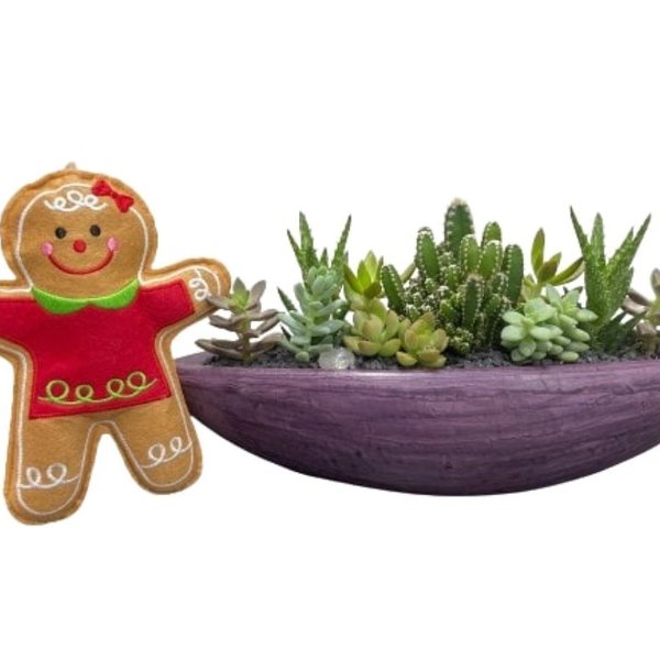 Canoa Grafite Mini Orquídea Cacto Suculenta Tema Natal