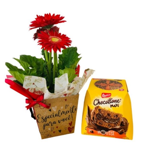 Gerbera Especial Para Você com Chocottone