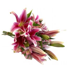 Imagem de Buquê de Lírio Cor de Rosa