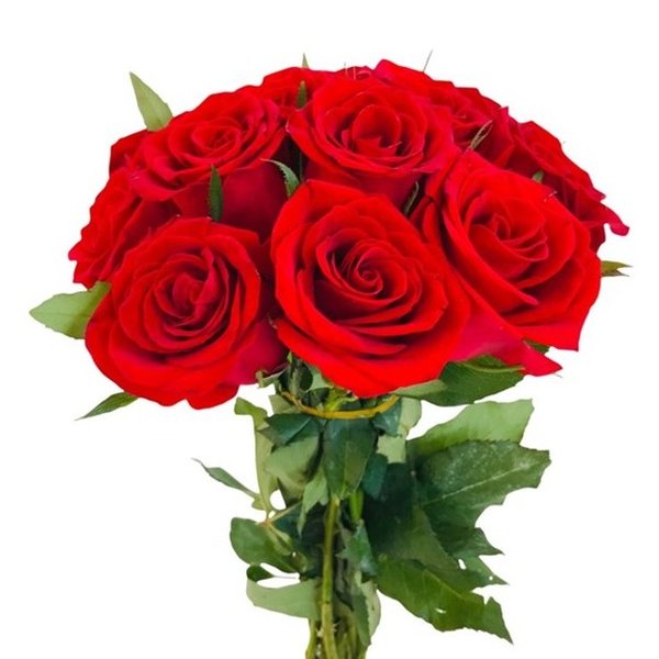 Buque de 10 Rosas Vermelhas