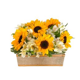 Imagem de Floreira de Girassóis e Astromelias