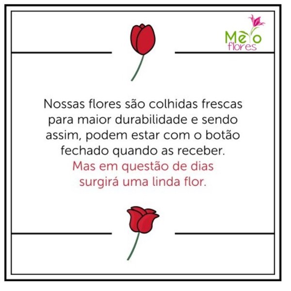 Luxuoso Buquê Harmonia em Flores