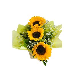 Imagem de Arranjo Lindos Girassóis