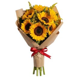 Imagem de Buquê com 6 Girassós