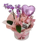 Box com Orquídea, Espumante e Chocolate