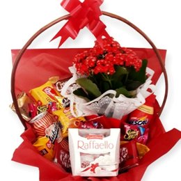 Imagem de Cesta Chocolate Especial