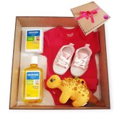 Cesta Caixa Box Maternidade Bebê