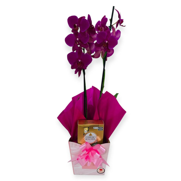 Orquídea com Chocolate Ferrero Rocher
