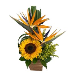 Imagem de Arranjo de Girassol e Estrelitzia 