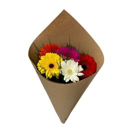 Imagem de Partitura de Gérberas