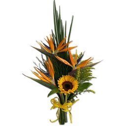 Imagem de Buquê de Girassol com Estrelitzia