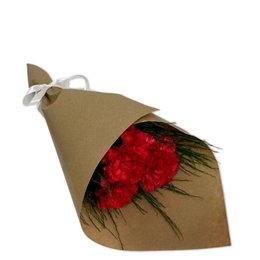 Imagem de Partitura de Cravos Vermelhos 