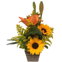 Imagem de Harmonia de Lírio e Girassóis 