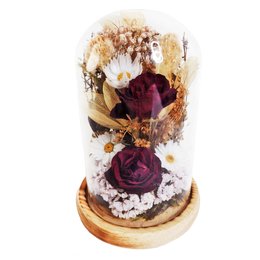 Imagem de Cúpula Jardim de Rosas