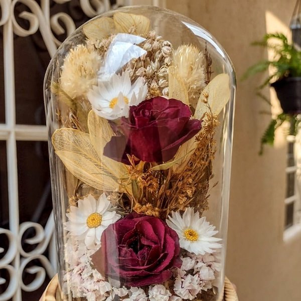 Cúpula Jardim de Rosas