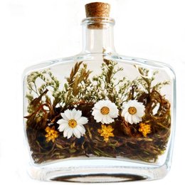 Imagem de Jardim Campo de Margaridas 