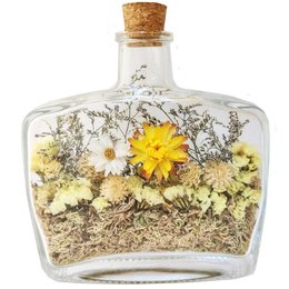 Imagem de Jardim no Vidro Brilho Amarelo 