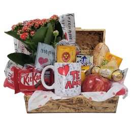 Imagem de Baú Te Amo Vida