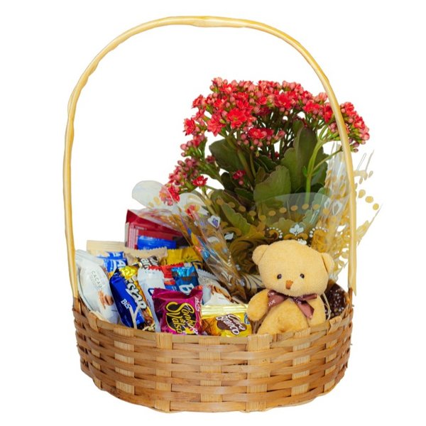 Cesta com Chocolates, Flor & Pelúcia