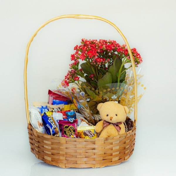 Cesta com Chocolates, Flor & Pelúcia