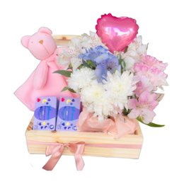 Imagem de Cesta Maternidade Naninha Menina