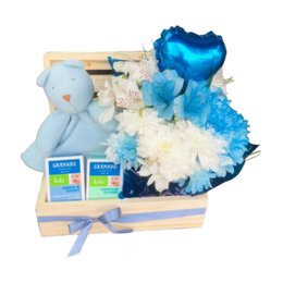 Imagem de Cesta Maternidade Naninha Menino