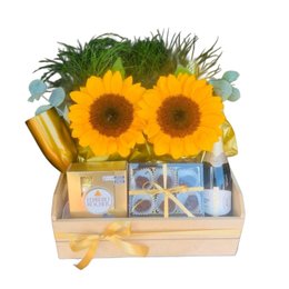 Imagem de Cesta Afeto e Girassol Iluminado