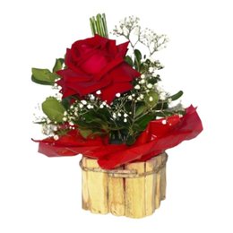 Imagem de Rosa Vermelha Importada