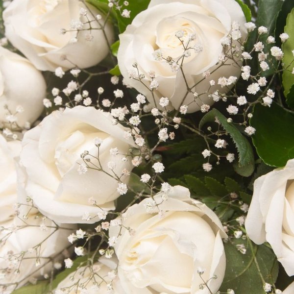 Buquê 12 Rosas Brancas