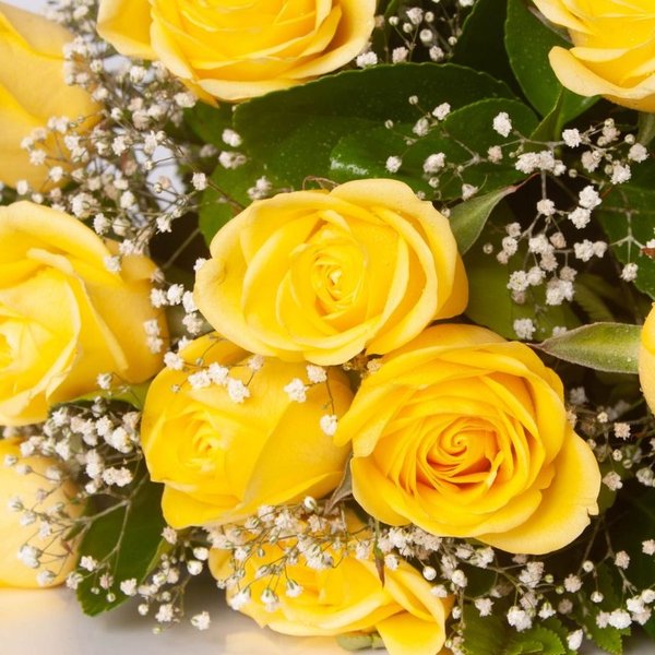Buquê 12 Rosas Amarelas