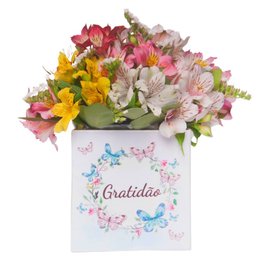 Imagem de Box Gratidão com Astromélias