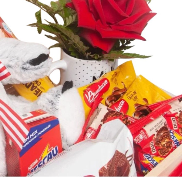 Baú com Rosa e Pelúcia