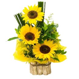 Imagem de Arranjo de Girassóis