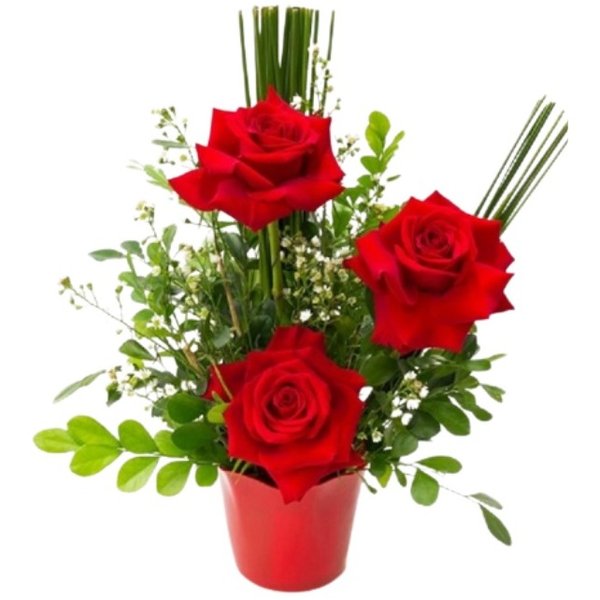 Arranjo Rosas Colombianas