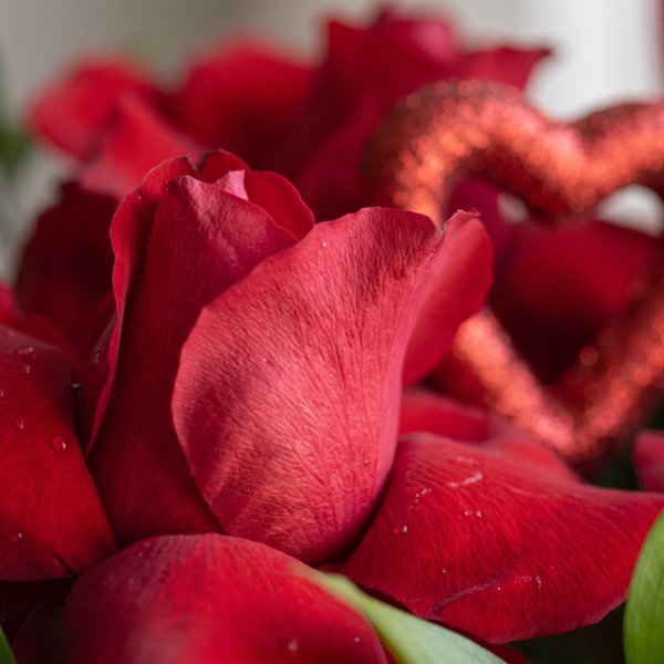 Cesta Arranjo de Rosas Vermelhas e Balão