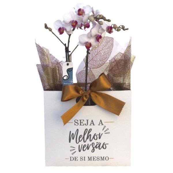 Presente Especial com Orquídea 