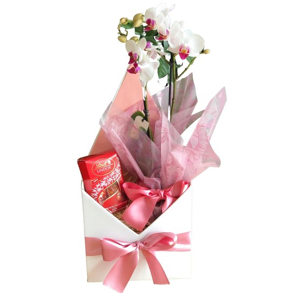 Cesta com Orquídea e Chocolate