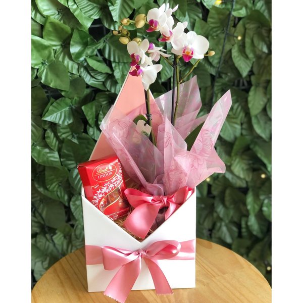 Cesta com Orquídea e Chocolate