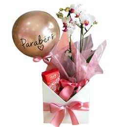 Imagem de Cesta de Aniversário com Balão Parabéns