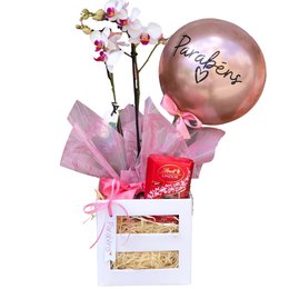 Imagem de Cesta com Orquídea e Balão Parabéns