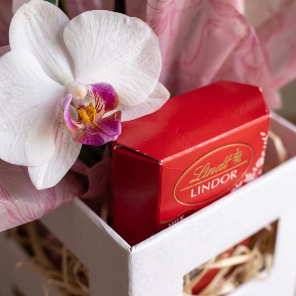 Cesta com Orquídea e Balão Parabéns
