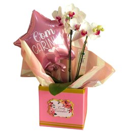 Imagem de Cesta Delicada com Orquídea Star