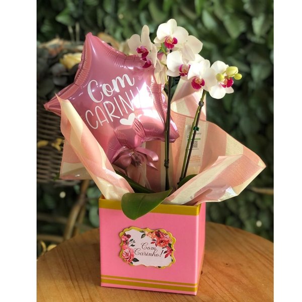 Cesta Delicada com Orquídea Star
