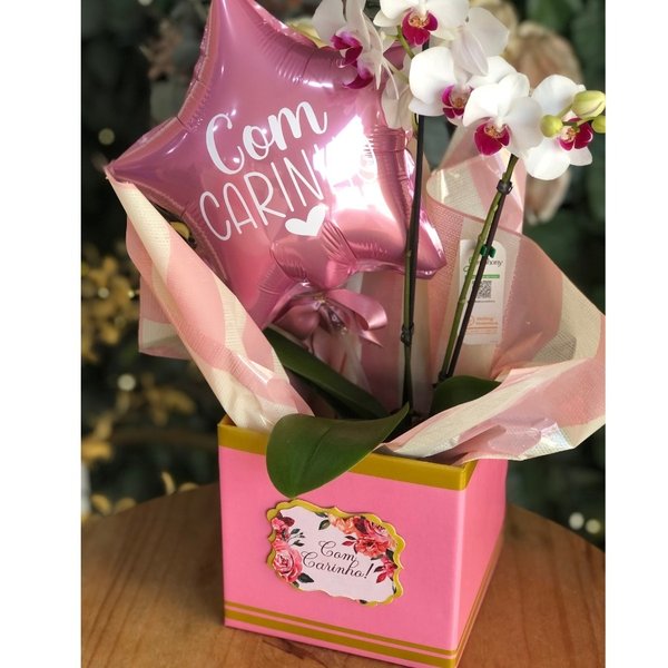 Cesta Delicada com Orquídea Star