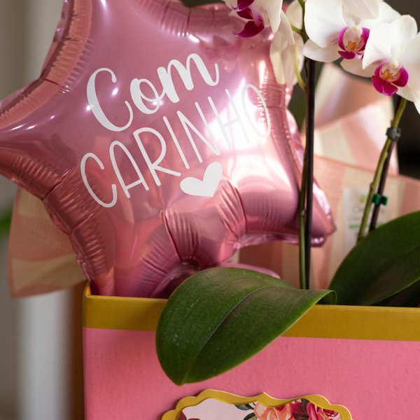 Cesta Delicada com Orquídea Star